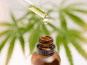 Como o corpo reage à cannabis: efeitos comuns do CBD e do THC 