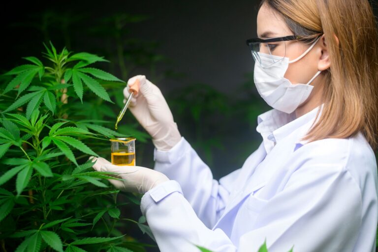 analise de oleos de cannabis