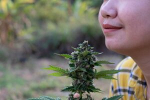 Uso de cannabis medicinal em pacientes com TEA (Transtorno do Espectro Autista)