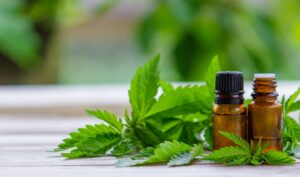 Canabidiol para ansiedade: funciona mesmo? O que dizem os estudos