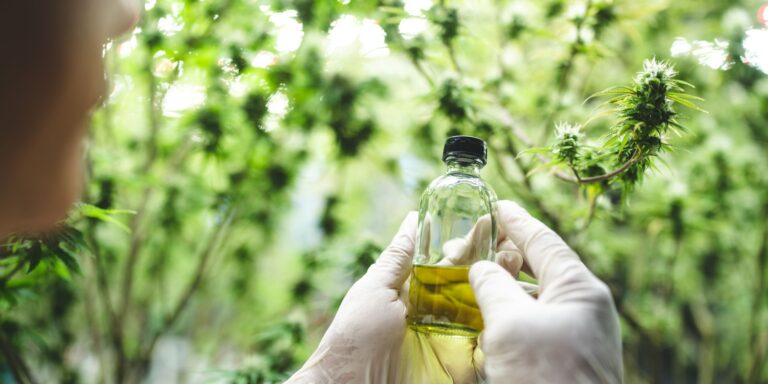 canabidiol para alzheimer