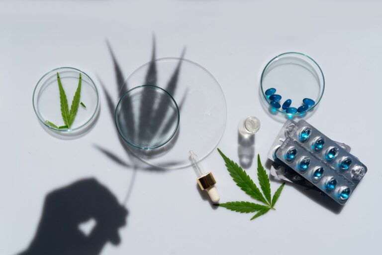 termo de consentimento na prescrição de cannabis