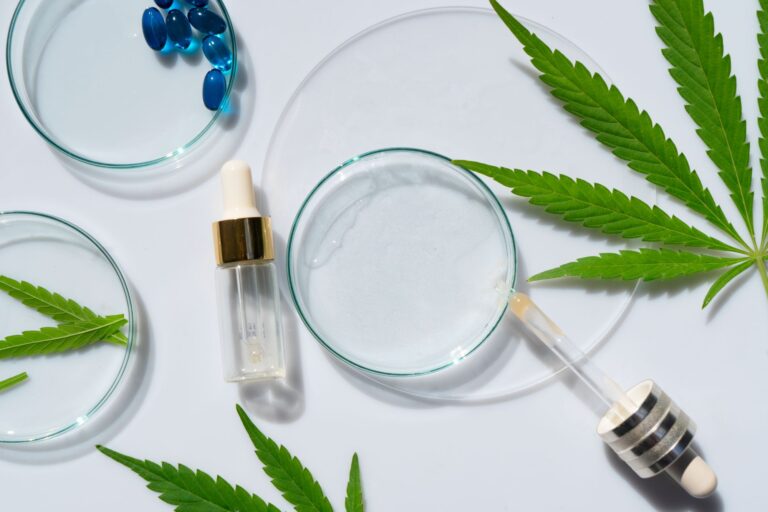 canabidiol e outros medicamentos